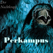 Der Nachtkrapp