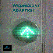 Wednesday Adaption