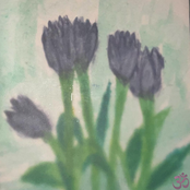 The Flowers You Didn't Deserved