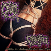 2 Ways To Sadomasochism And Good Vulva