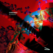 Varia Curated Series 02