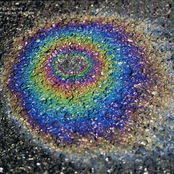 Ultradian Rhythms