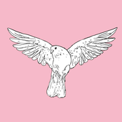 Peace