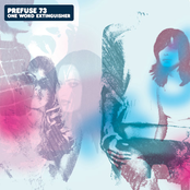 Prefuse 73: One Word Extinguisher