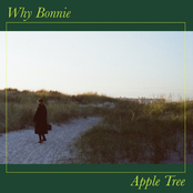 Why Bonnie: Apple Tree