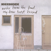 Some Don't Make It Through The Haze by Niccokick