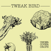 Weight by Tweak Bird