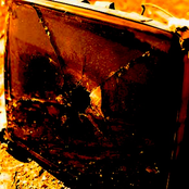 20 bullets in the belly