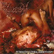 Putrescent Clitoral Fermentation