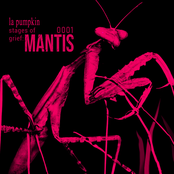 stages of grief: MANTIS