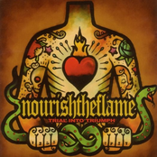 Stained Glass by Nourish The Flame