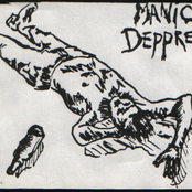 manic depressors