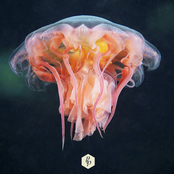 ...But the ones that do (Reworks)