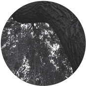 Baum Limited Picture Edition 001