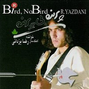 Parandeh Bi Parandeh by Reza Yazdani