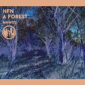 A Forest