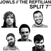 Jowls / The Reptilian