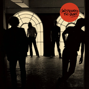 (I'm) Stranded [Deluxe Edition]