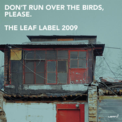 Don't Run Over The Birds, Please.