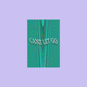Can't Let Go