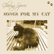 songs for my cat