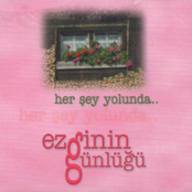 Delice Zeytin by Ezginin Günlüğü