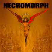 Serve To Lead by Necromorph