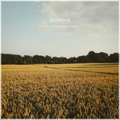 A Love of Beautiful Things