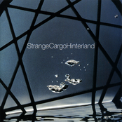 Say Anything by Strange Cargo