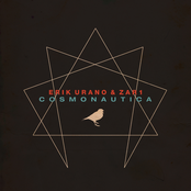 Cosmonautica