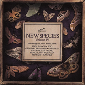 New Species, Vol. IV
