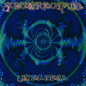 unprofassional (2000)