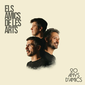 20 anys d'Amics