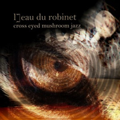 Cross eyed mushrom jazz