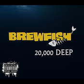 Brewfish: 20,000 Deep