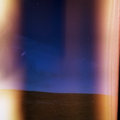 Owls Perish In Dreams + Bedroom Bear