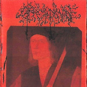 Rangée de portraits éblouissants