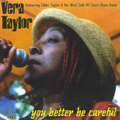 You Better Be Careful(Chicago Blues Vol.54)