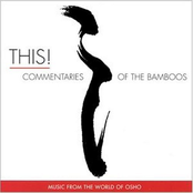 Commentaries Of The Bamboos by Music From The World Of Osho