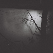 Night Serenity