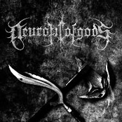 SavaasaQ / Neurotic of Gods