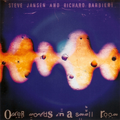 Distant Fire by Steve Jansen & Richard Barbieri