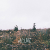 wildlings