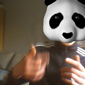 Panda_q