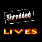 Shredded Lives