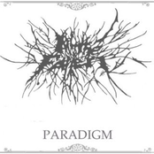 Paradigm