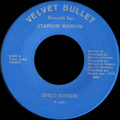 Disco Boogie