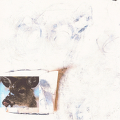 Deer In The Headlights