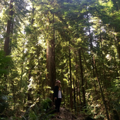 The More We Find (Sister IV)