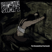 Distant Gleams From Moonless Skies by Forbidden Shape